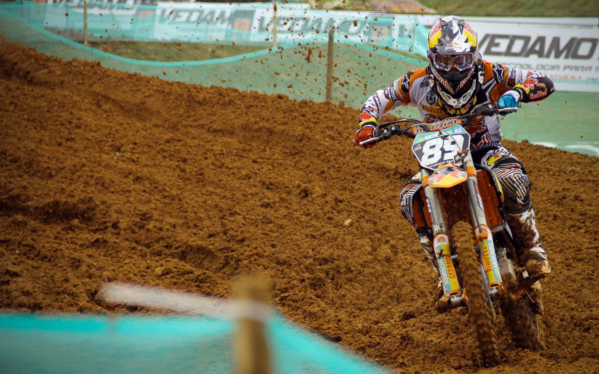 体育产业年度发展总结